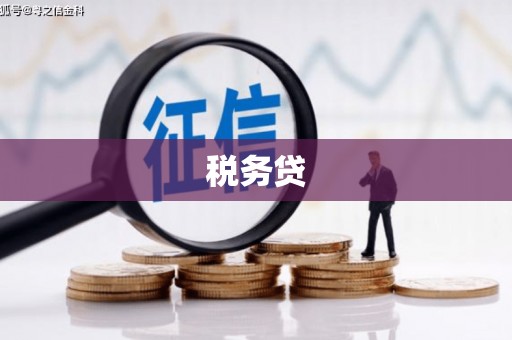 三湾税务贷