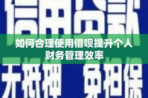 三湾如何合理使用借呗提升个人财务管理效率