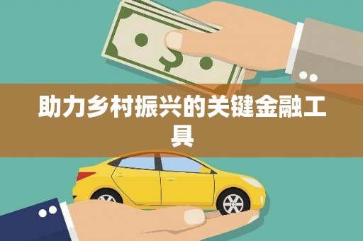 三湾助力乡村振兴的关键金融工具