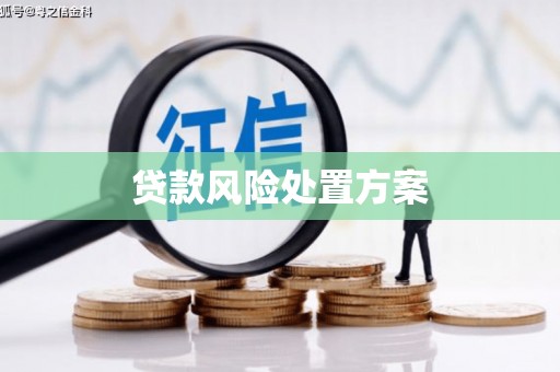 三湾贷款风险处置方案