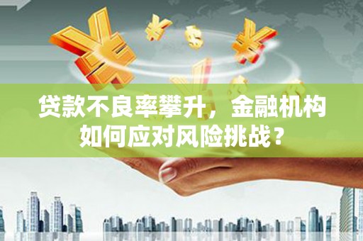 三湾贷款不良率攀升，金融机构如何应对风险挑战？