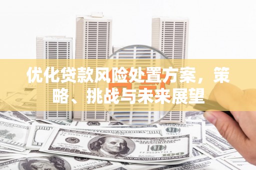 三湾优化贷款风险处置方案，策略、挑战与未来展望