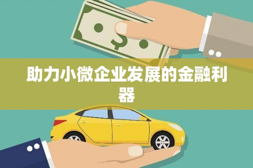 三湾助力小微企业发展的金融利器