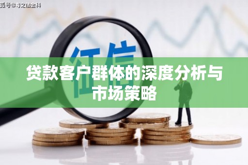 三湾贷款客户群体的深度分析与市场策略