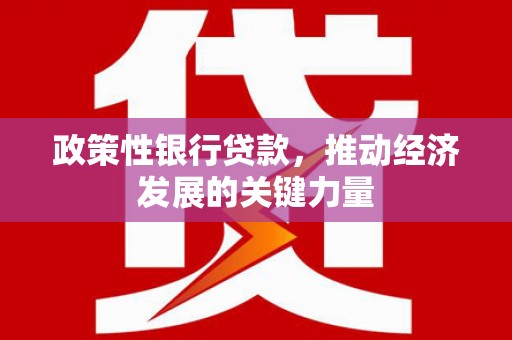 三湾政策性银行贷款，推动经济发展的关键力量