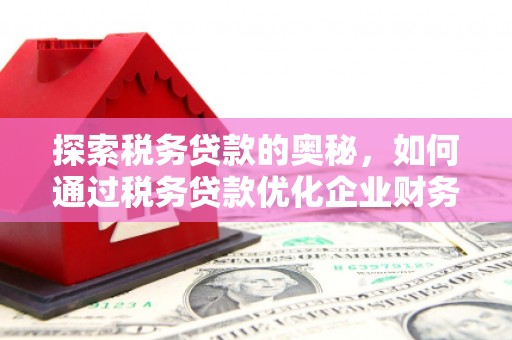 三湾探索税务贷款的奥秘，如何通过税务贷款优化企业财务