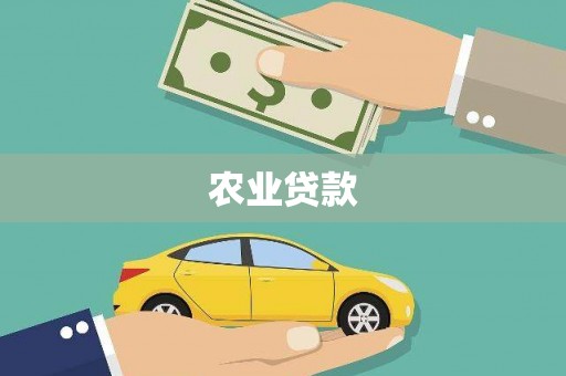 三湾农业贷款