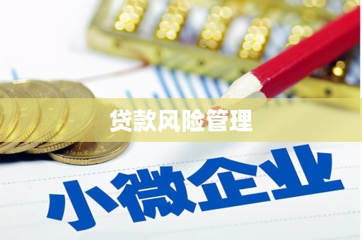 三湾贷款风险管理
