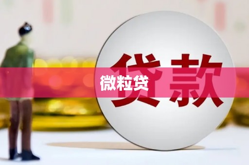 三湾微粒贷