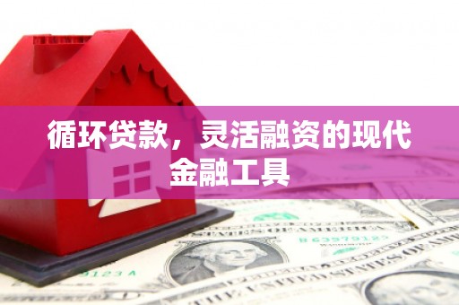 三湾循环贷款，灵活融资的现代金融工具