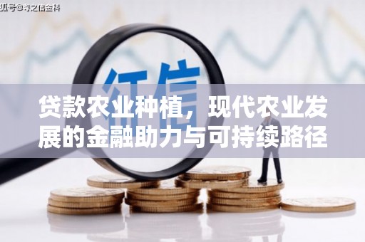 三湾贷款农业种植，现代农业发展的金融助力与可持续路径