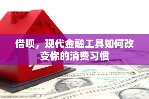 三湾借呗，现代金融工具如何改变你的消费习惯