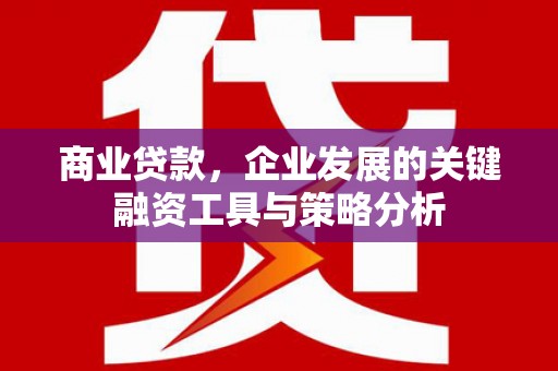 三湾商业贷款，企业发展的关键融资工具与策略分析