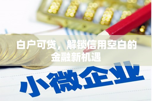 三湾白户可贷，解锁信用空白的金融新机遇
