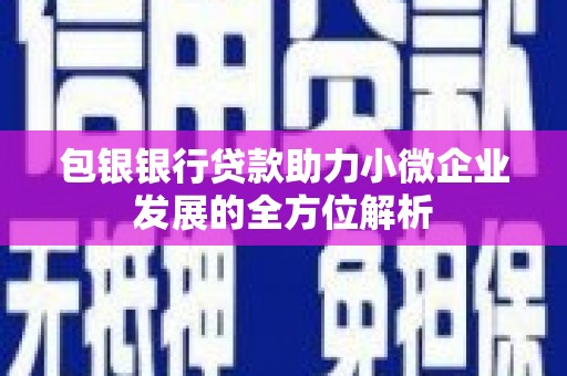 三湾包银银行贷款助力小微企业发展的全方位解析