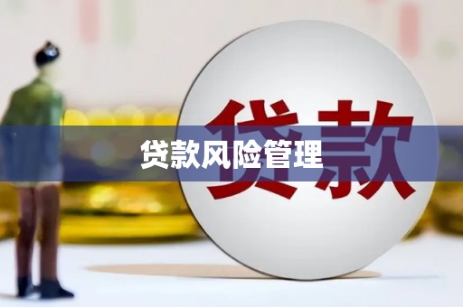 三湾贷款风险管理