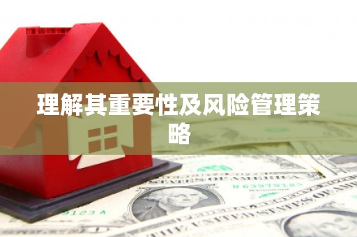 三湾理解其重要性及风险管理策略