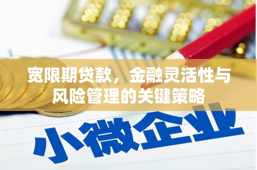 三湾宽限期贷款，金融灵活性与风险管理的关键策略