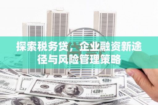 三湾探索税务贷，企业融资新途径与风险管理策略