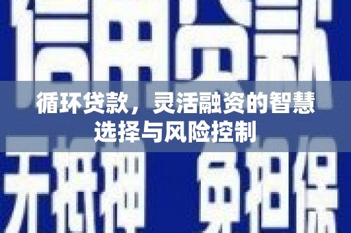 三湾循环贷款，灵活融资的智慧选择与风险控制