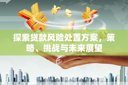 三湾探索贷款风险处置方案，策略、挑战与未来展望