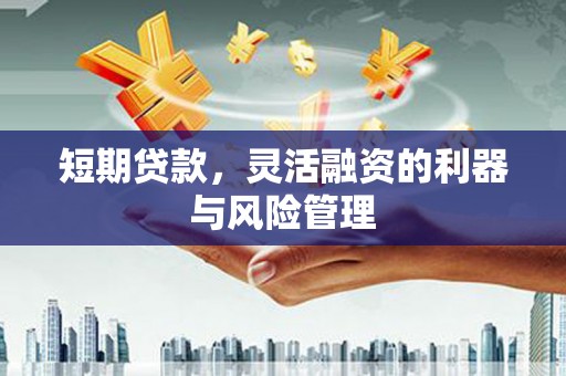 三湾短期贷款，灵活融资的利器与风险管理