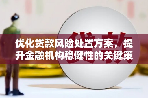 三湾优化贷款风险处置方案，提升金融机构稳健性的关键策略