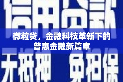 三湾微粒贷，金融科技革新下的普惠金融新篇章