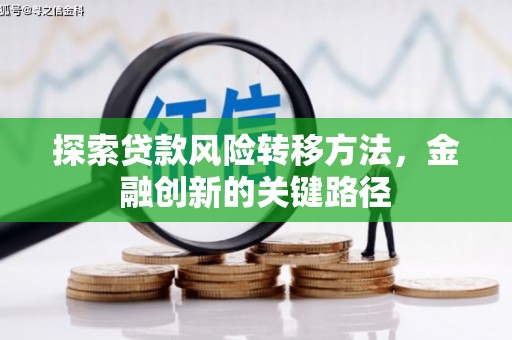 三湾探索贷款风险转移方法，金融创新的关键路径