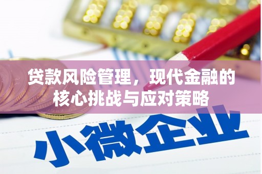 三湾贷款风险管理，现代金融的核心挑战与应对策略