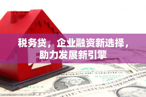 三湾税务贷，企业融资新选择，助力发展新引擎