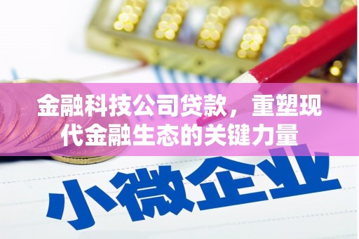 三湾金融科技公司贷款，重塑现代金融生态的关键力量