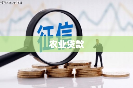 三湾农业贷款