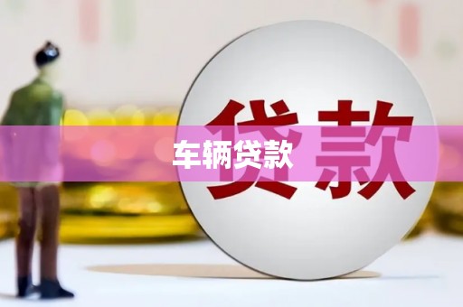 三湾车辆贷款