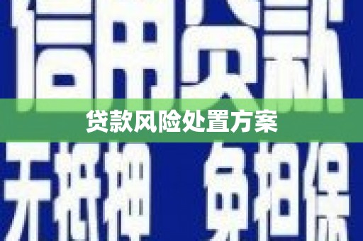 三湾贷款风险处置方案