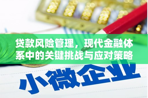 三湾贷款风险管理，现代金融体系中的关键挑战与应对策略