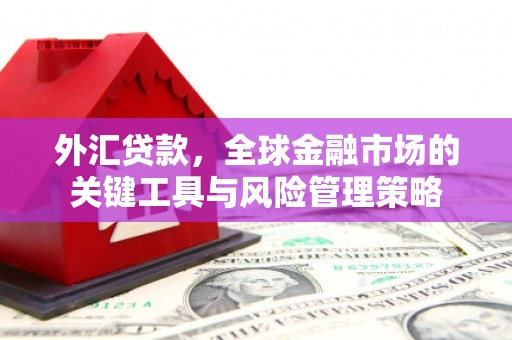 三湾外汇贷款，全球金融市场的关键工具与风险管理策略