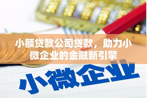 三湾小额贷款公司贷款，助力小微企业的金融新引擎