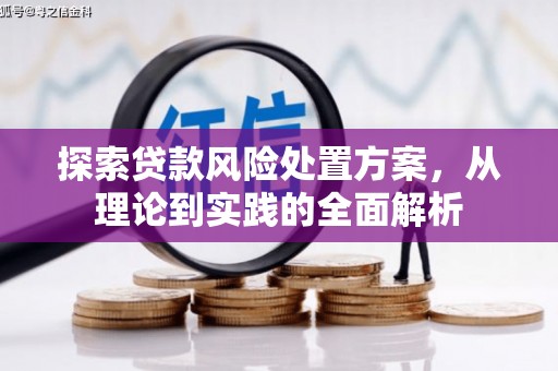 三湾探索贷款风险处置方案，从理论到实践的全面解析