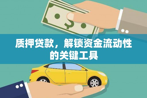 三湾质押贷款，解锁资金流动性的关键工具