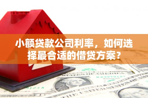 三湾小额贷款公司利率，如何选择最合适的借贷方案？