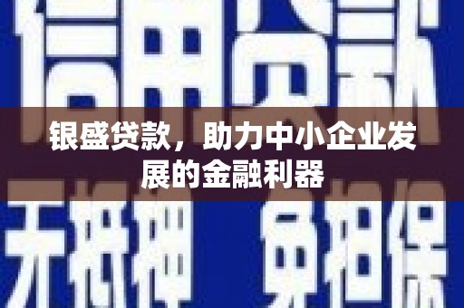 三湾银盛贷款，助力中小企业发展的金融利器
