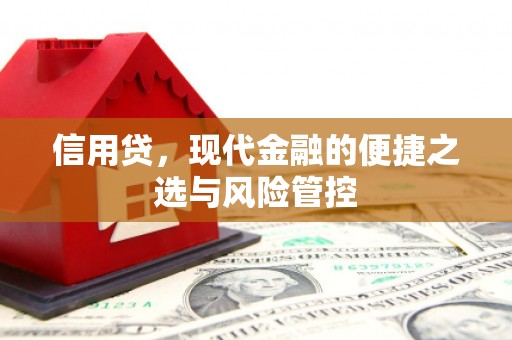 三湾信用贷，现代金融的便捷之选与风险管控
