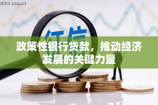 三湾政策性银行贷款，推动经济发展的关键力量