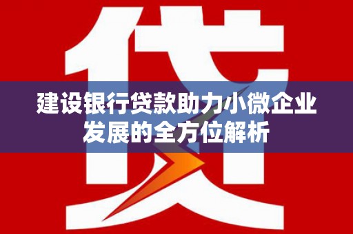 三湾建设银行贷款助力小微企业发展的全方位解析