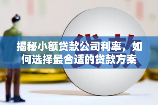 三湾揭秘小额贷款公司利率，如何选择最合适的贷款方案
