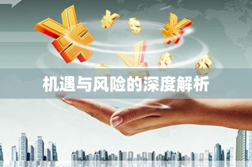 三湾机遇与风险的深度解析
