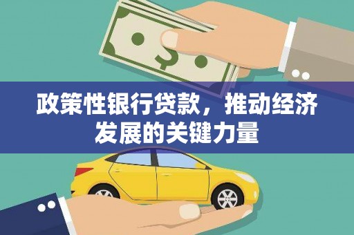 三湾政策性银行贷款，推动经济发展的关键力量