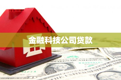 三湾金融科技公司贷款