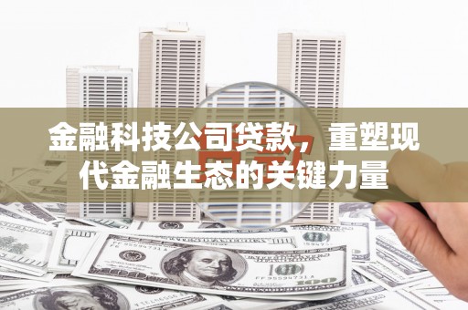 三湾金融科技公司贷款，重塑现代金融生态的关键力量